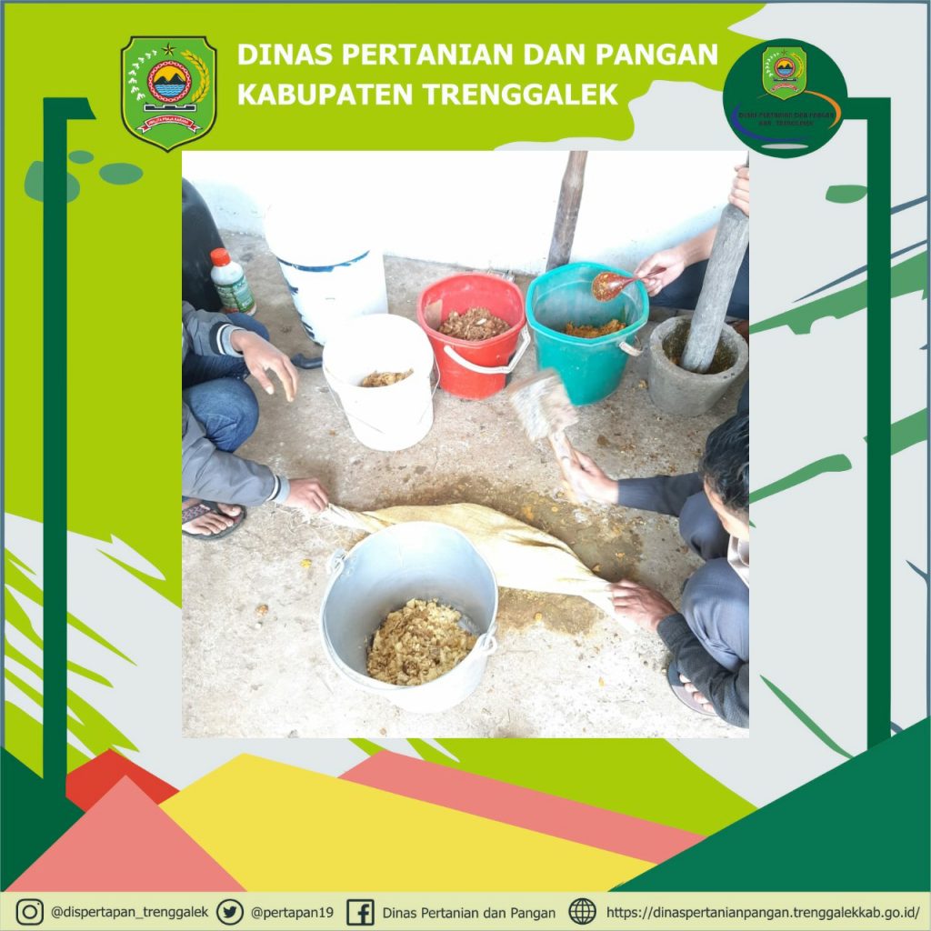 Pupuk Organik Cair: Pelatihan dan Pendekatan Ramah Lingkungan untuk Pertanian Desa